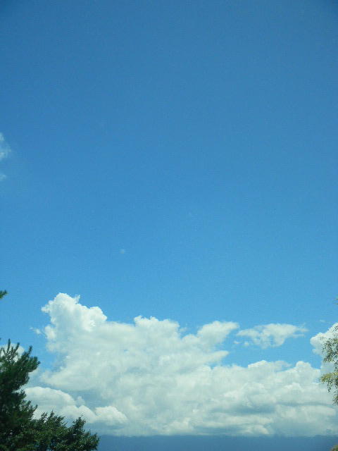 DSCN9115