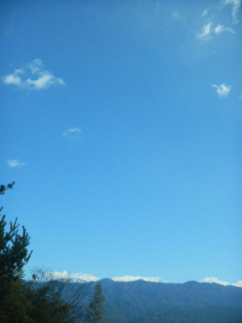 DSCN8512