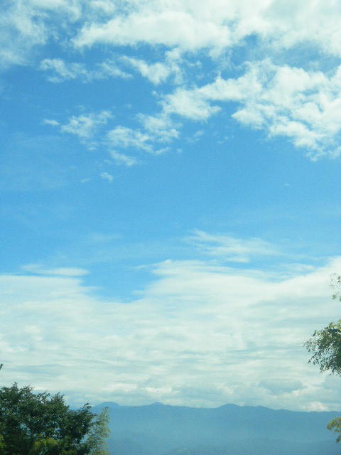 DSCN8202