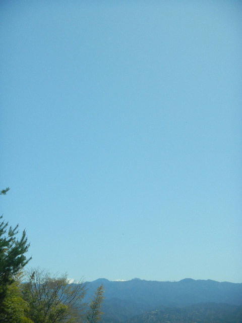 DSCN8961