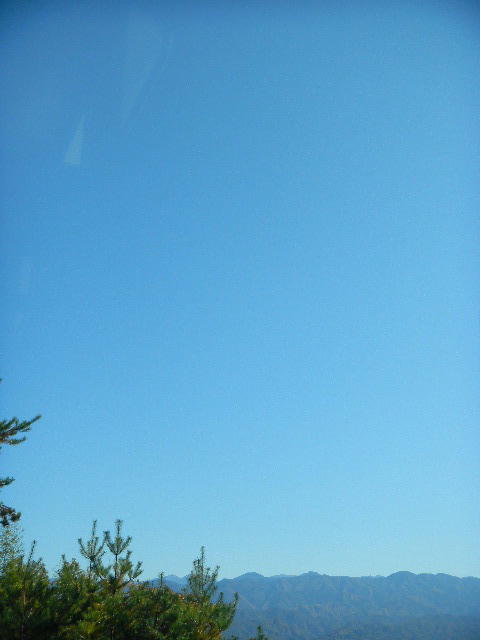 なぜ自分が人よりも強く生まれたのかわかりますか Liddell Coffee House リデルコーヒーハウス