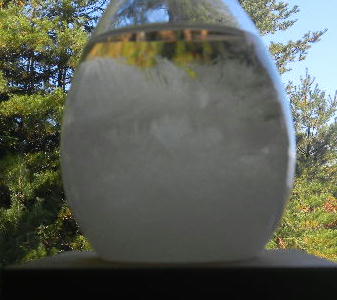 DSCN6824