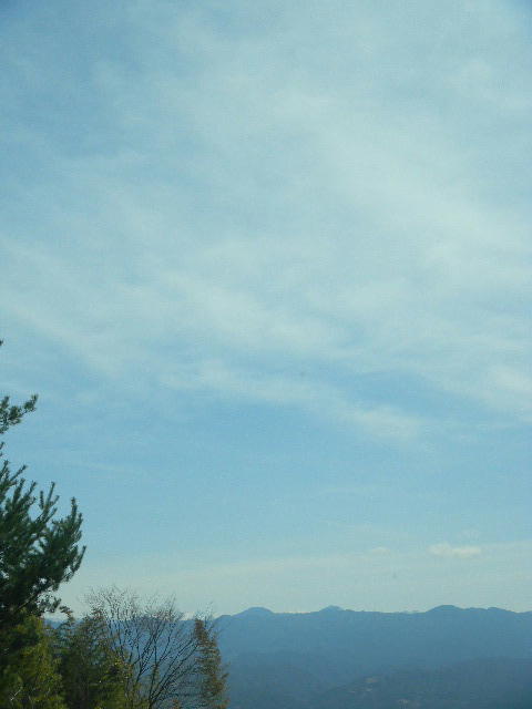 DSCN8861