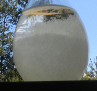 DSCN1118