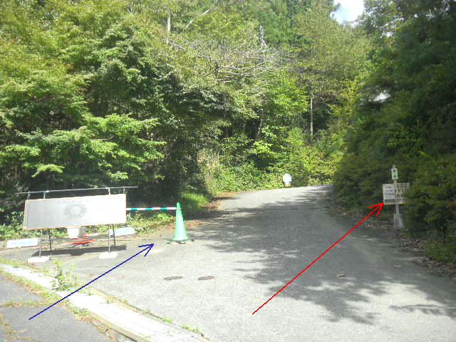DSCN8212