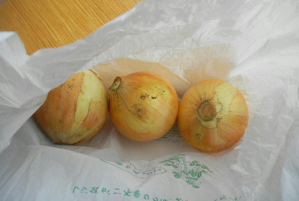 DSCN9676
