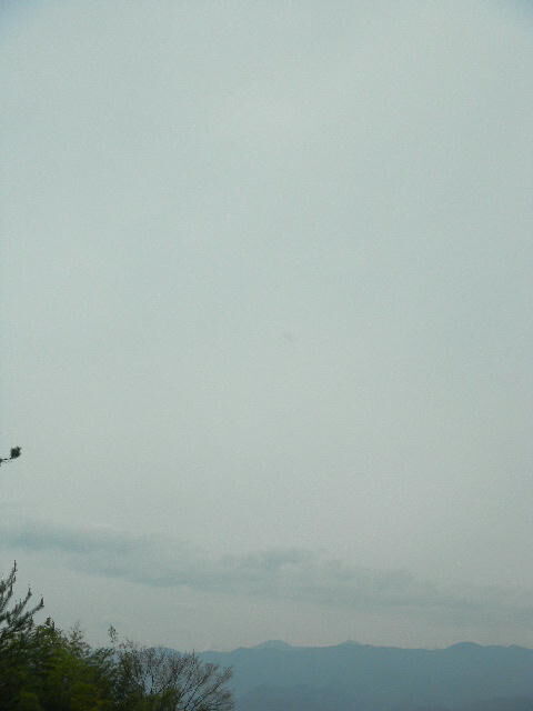 DSCN4563
