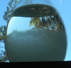 DSCN0566