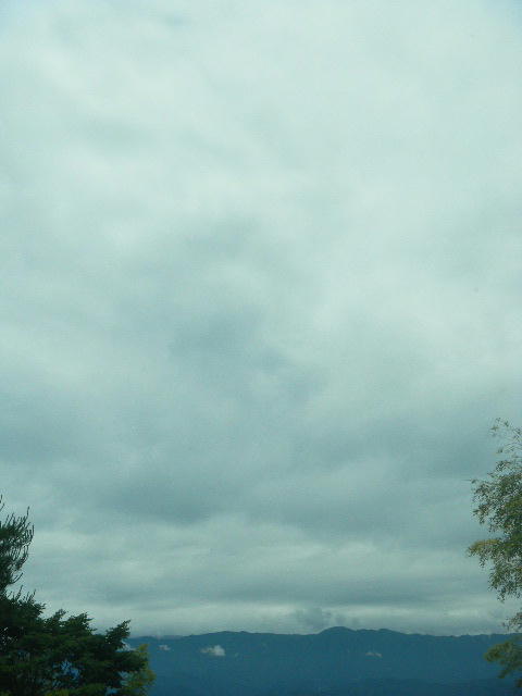 DSCN8907