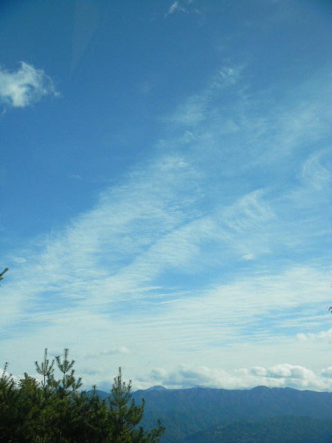 DSCN0445