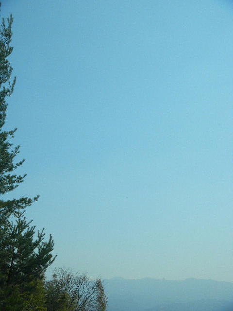 DSCN8837