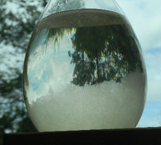 DSCN9686