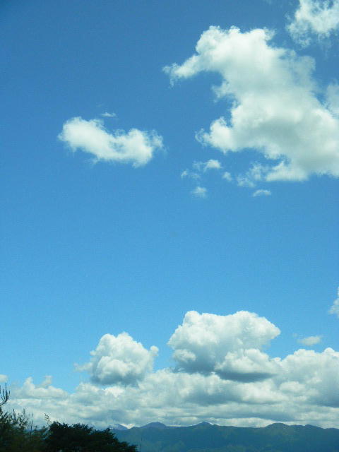 DSCN4826