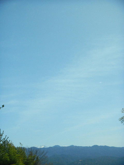 DSCN4474