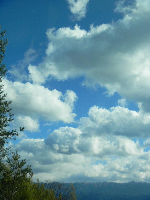 DSCN5498