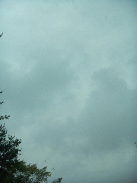 DSCN8780