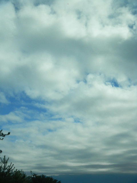 DSCN3163