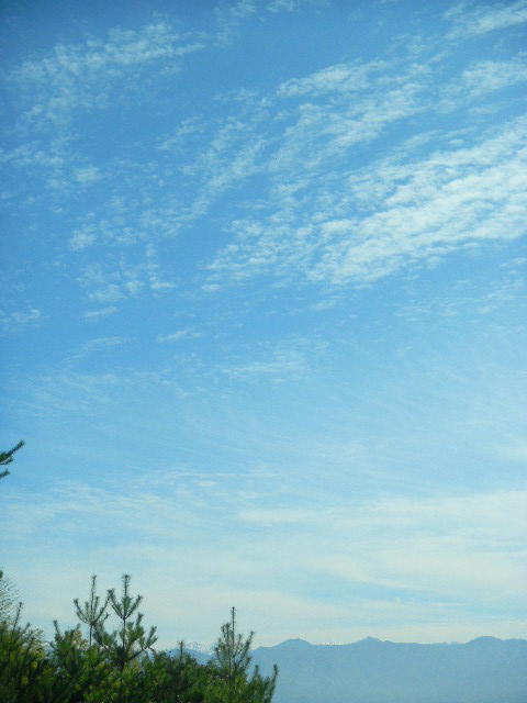 DSCN0115