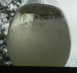 DSCN0705