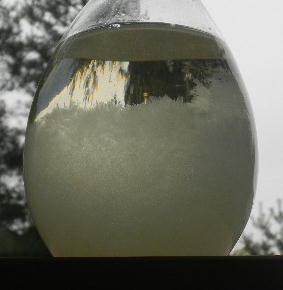DSCN0464