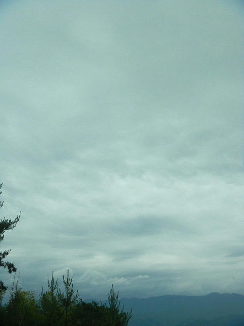 DSCN9675