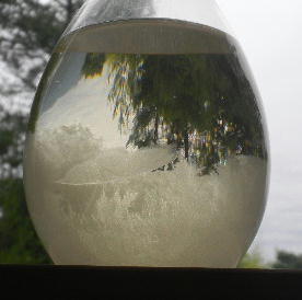 DSCN4896