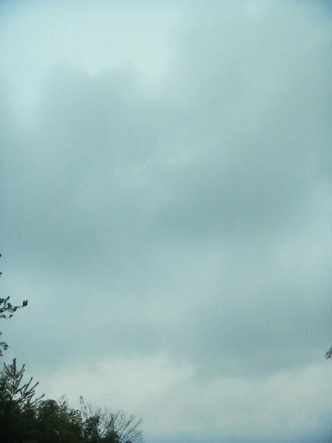 DSCN4493