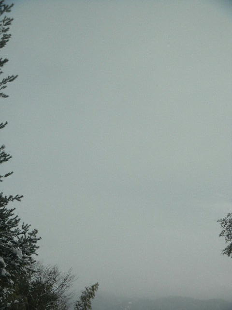 DSCN9894