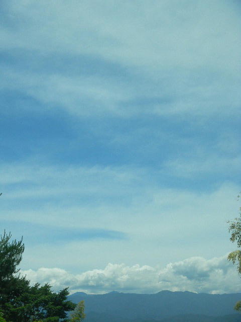 DSCN8930