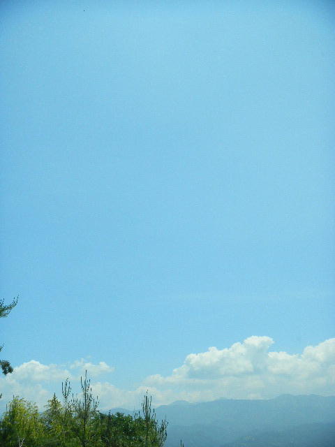 DSCN9612