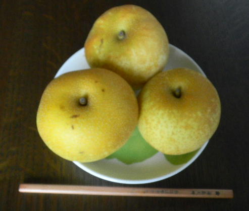 イメージ 1