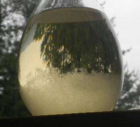 DSCN9041