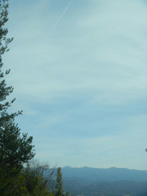 DSCN9974