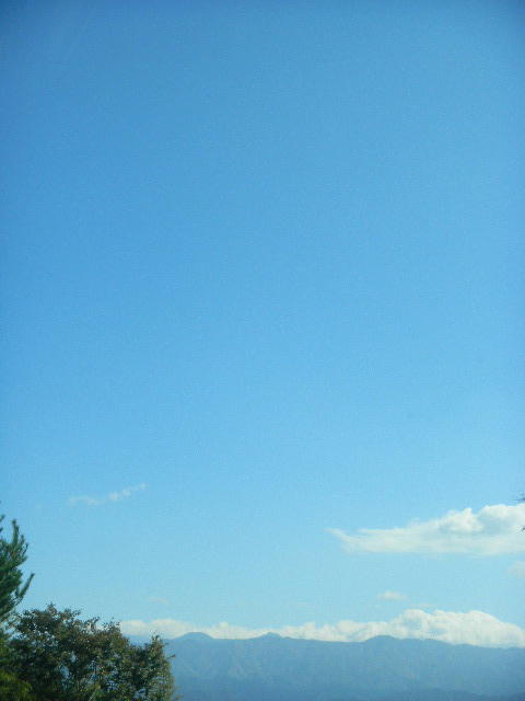 DSCN8376