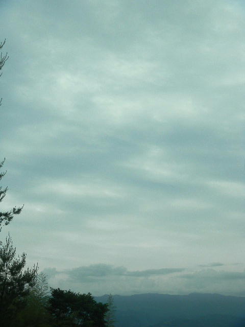 DSCN6161