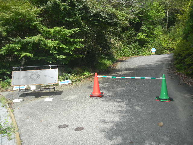 DSCN8213