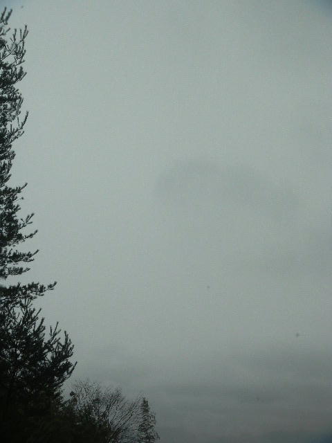 DSCN8808