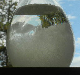 DSCN0550