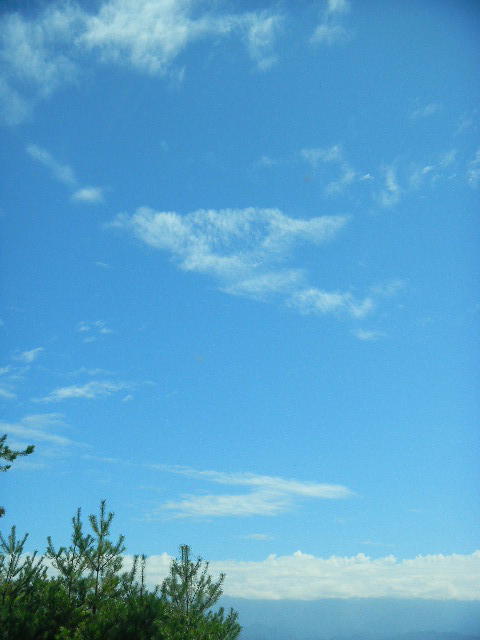 DSCN3060