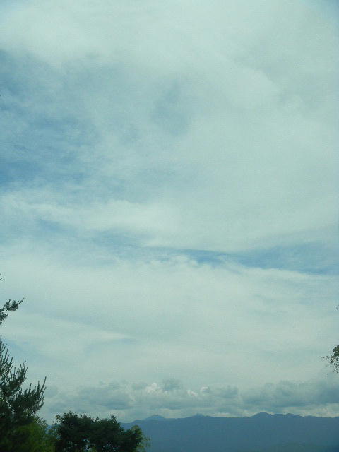 DSCN6263