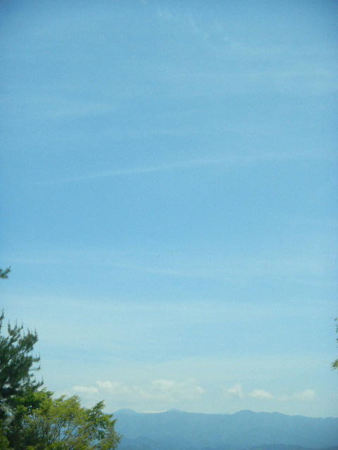 DSCN8785