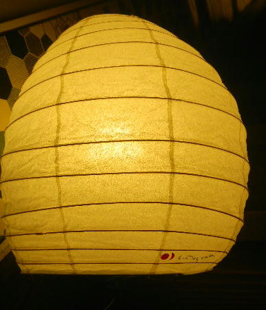 DSCN0042
