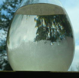 DSCN9682