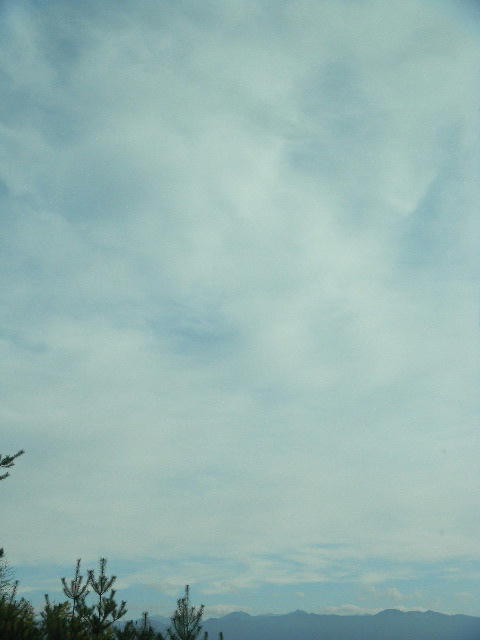 DSCN0334