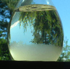 DSCN3053