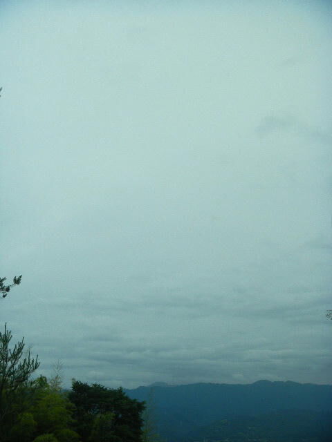 DSCN4895