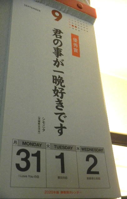 DSCN9916