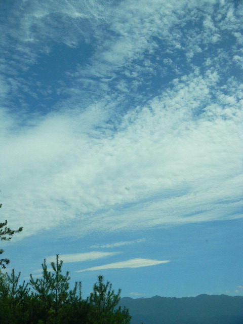 DSCN2986