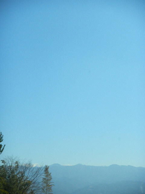 DSCN8799