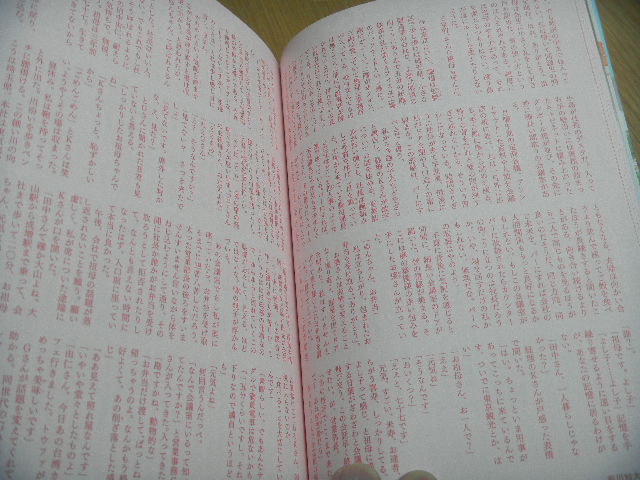 DSCN8973